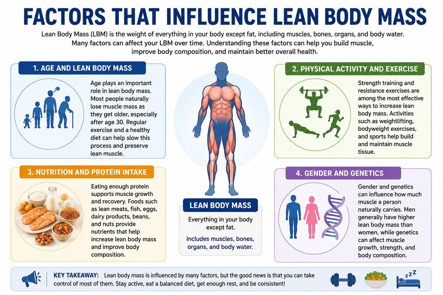Factors that Influence Lean Body Mass
